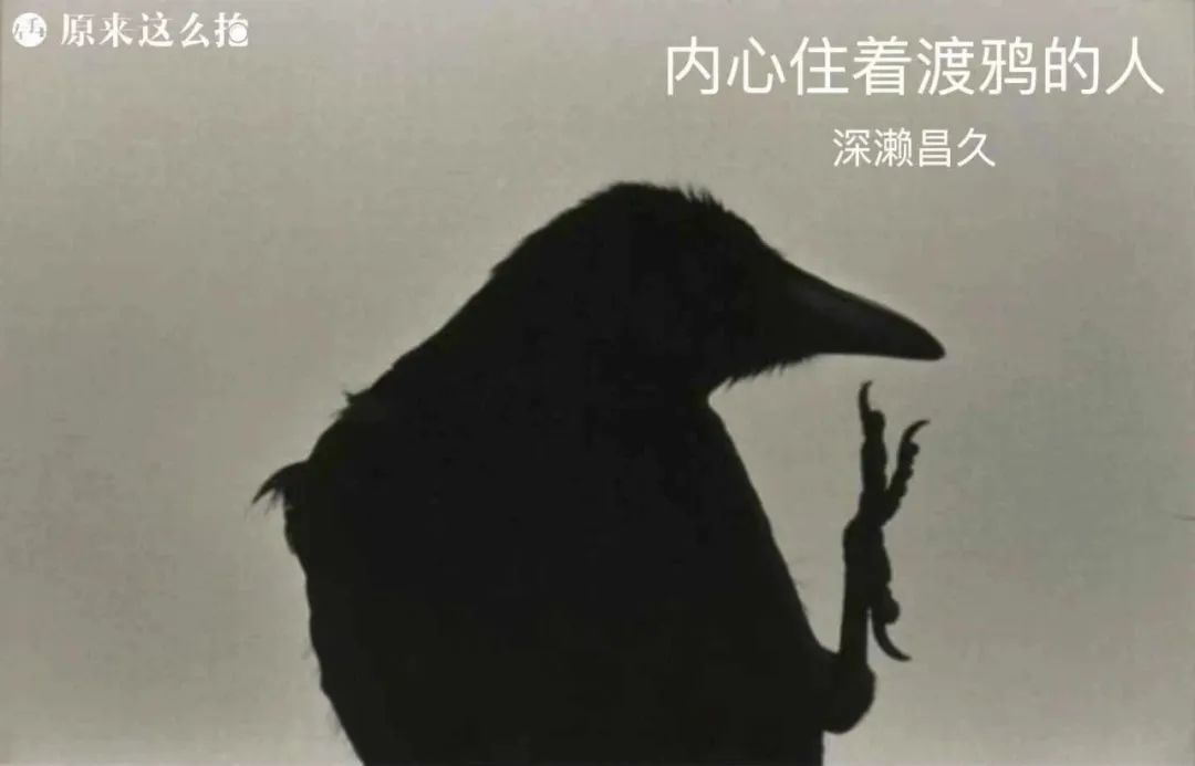 站在大师的肩膀上·第二期重磅来袭