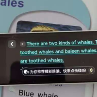 网易有道词典笔X7 Pro，孩子秒变口语小达人！家教级辅导随时练。