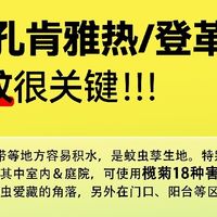基孔肯雅热用什么驱蚊产品？多款榄菊防蚊好物让我安心！