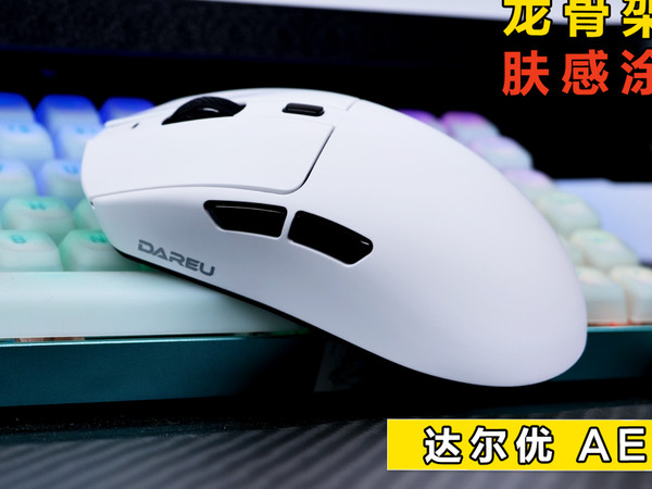 龙骨架构！达尔优旗舰鼠标AE6开箱体验