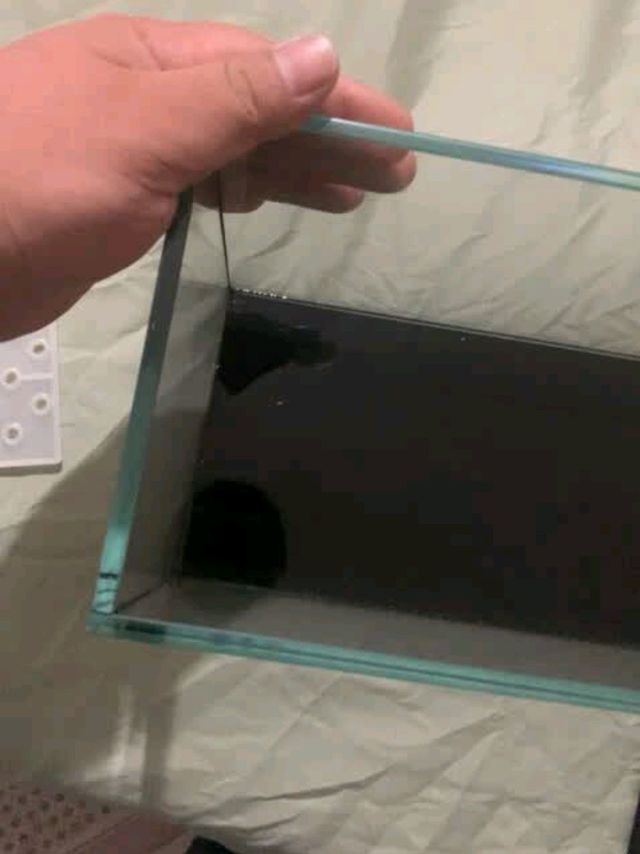 68块钱的溪流缸新手入门——小小的，也很可爱啊