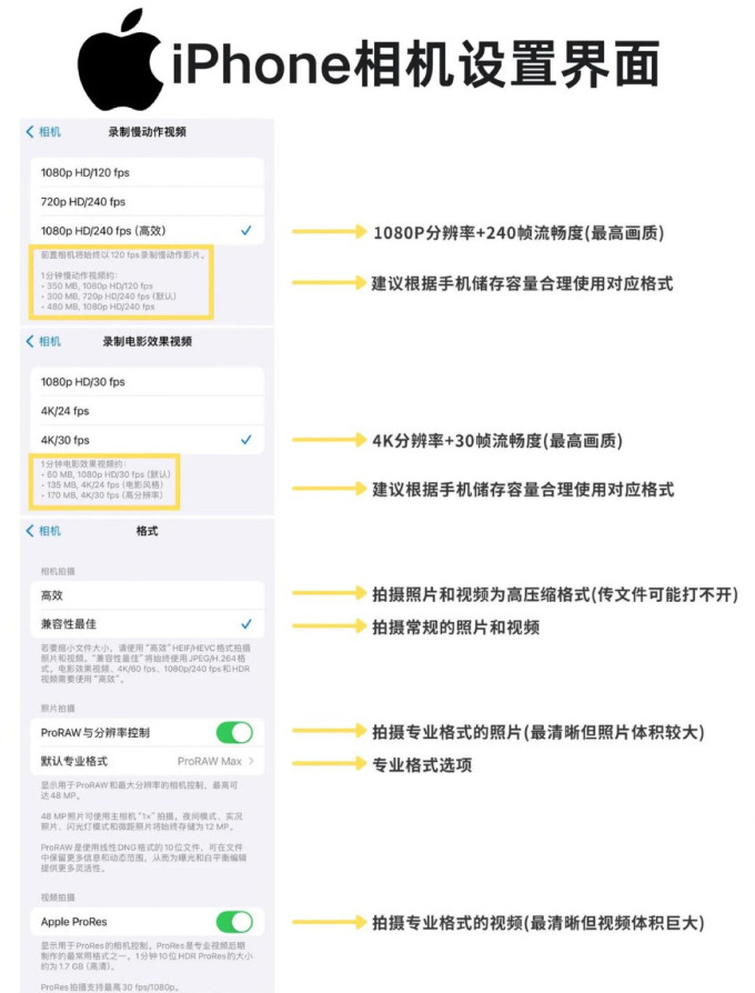 苹果摄影创作