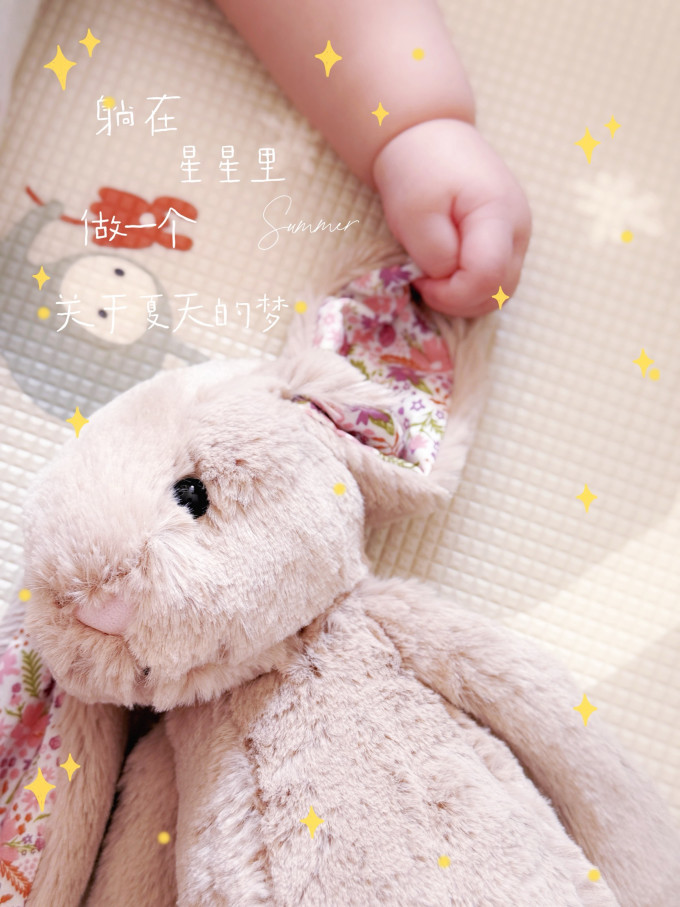 邦尼兔毛绒布艺