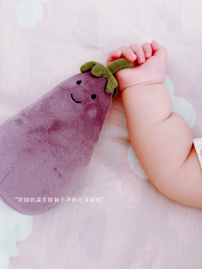 邦尼兔毛绒布艺
