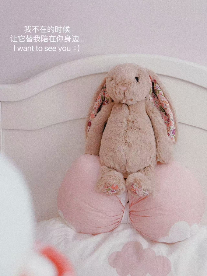 邦尼兔毛绒布艺