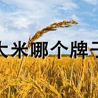 五常大米哪个牌子正宗