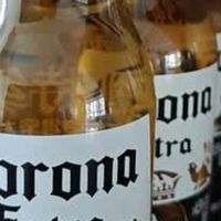 科罗娜（CORONA）特级啤酒330ml*24瓶啤酒整箱装经典拉格 