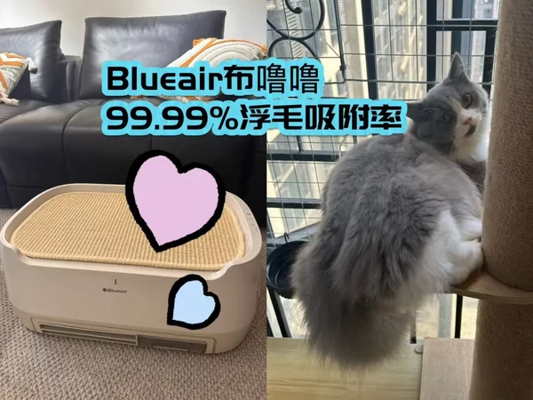 告别宠物毛发困扰Blueair 宠物净化器足矣