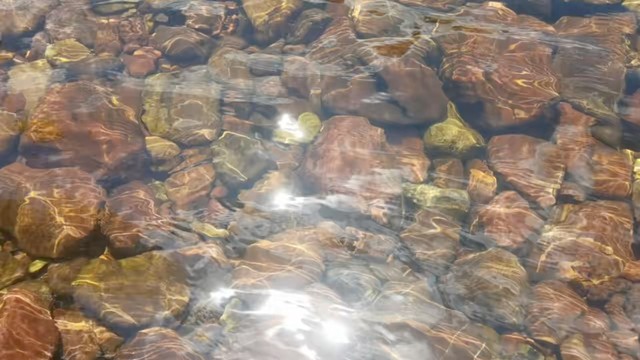 夏日炎炎炎，有水超甜甜