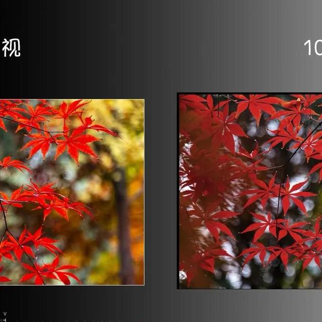 百吋电视别乱选！98吋才是隐藏的“真香王”，画质细节全碾压！