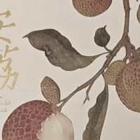 书页间的清凉：马伯庸作品带来的宁静
