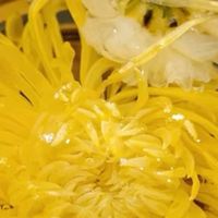 菊花茶好喝又养生