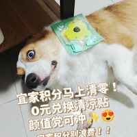 宜家积分别浪费｜0元换的清凉贴颜值党可冲✨