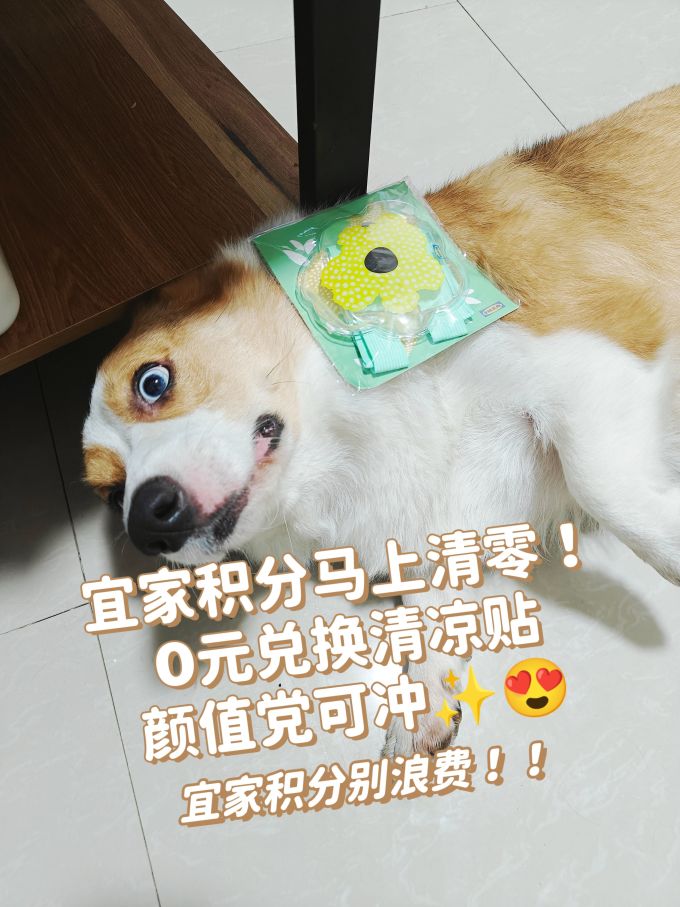 冰敷热敷