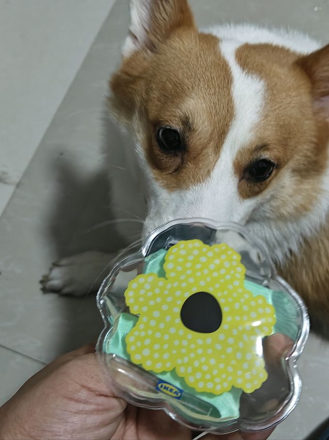 冰敷热敷