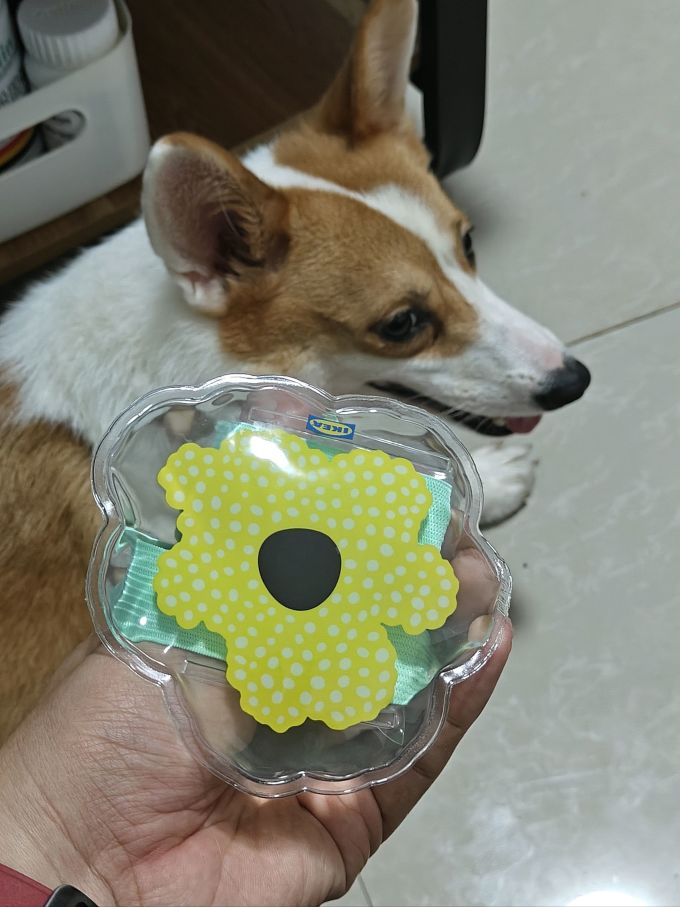 冰敷热敷