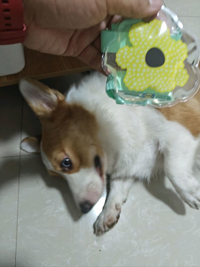 冰敷热敷