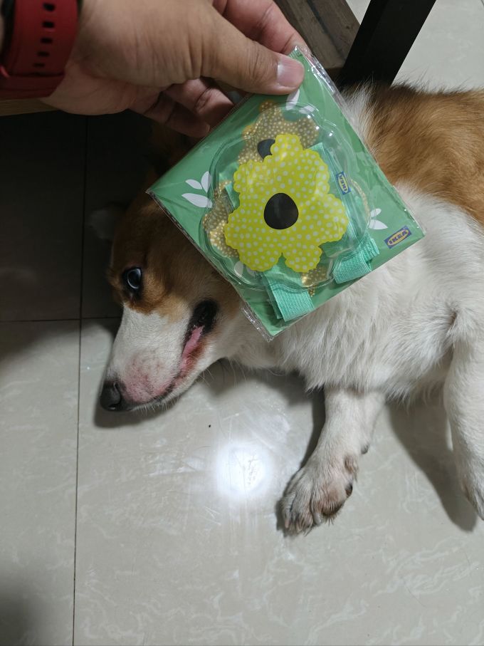 冰敷热敷