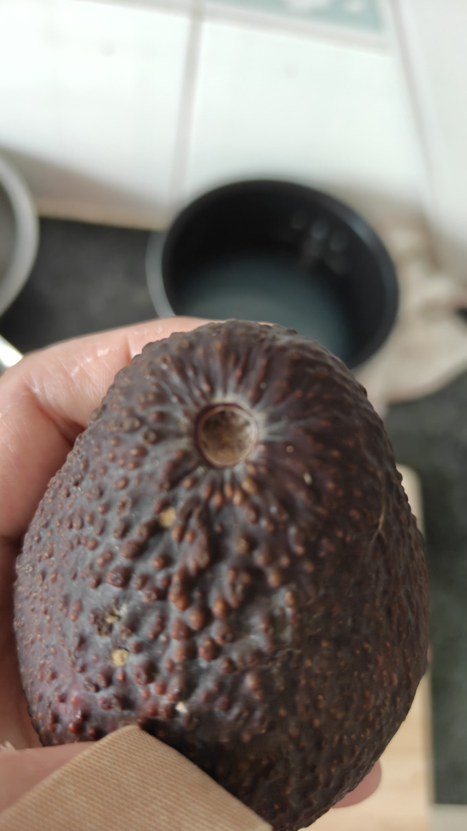 汐有牛油果