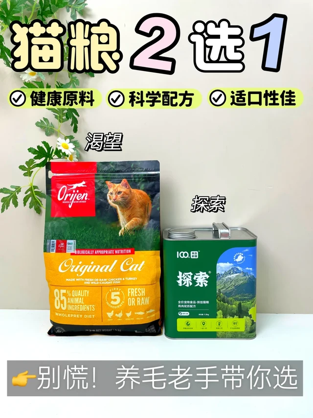 🔥渴望VS探索，猫粮实测！谁更值得囤？