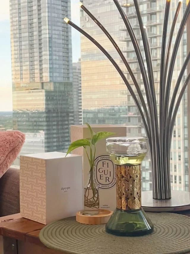 极简白富美的家都有这种绿得很高级的味道