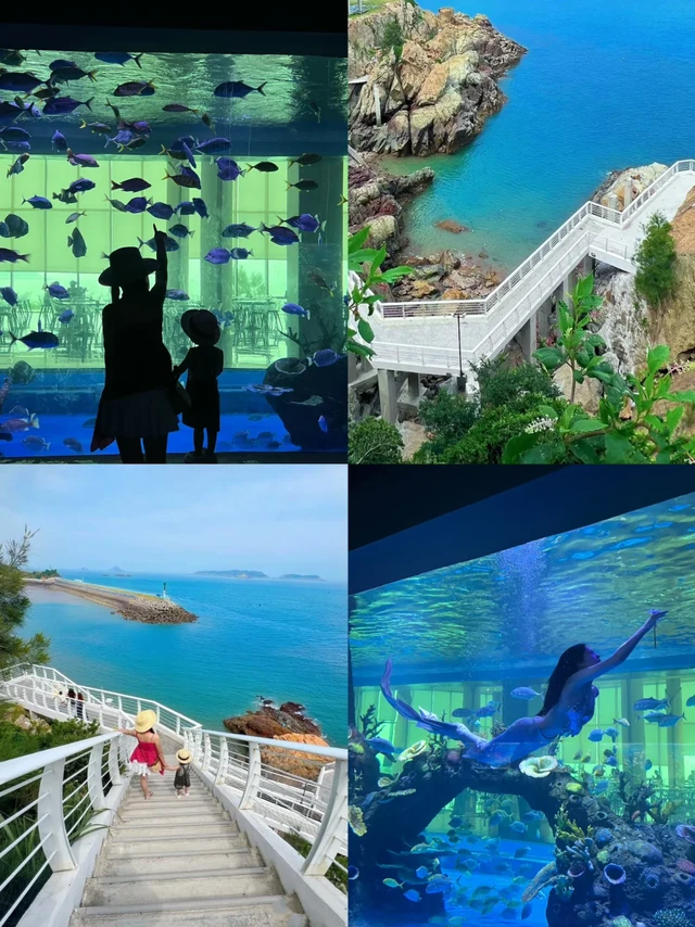 🌊温州海岛亲子游，快乐不打烊