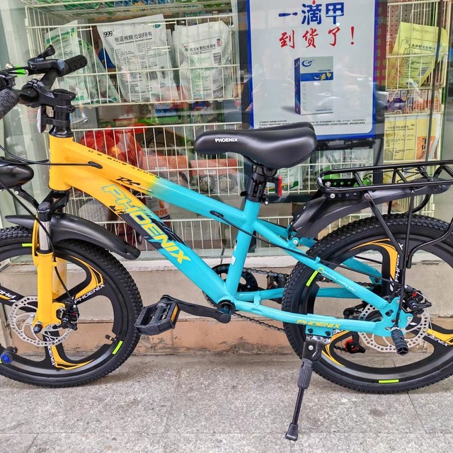 闲鱼购二手山地车，性价比高哦！