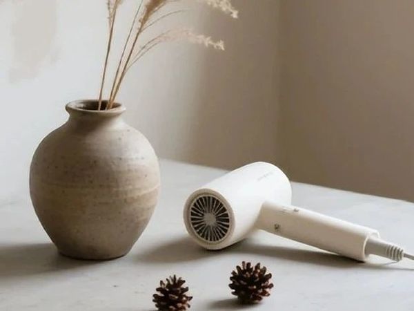 吹风机哪个品牌好适合家用？耐用效果好品牌排行榜第一名！