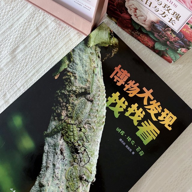 张辰亮推荐黄金搭档！娃在“寻宝”中狂涨知识！