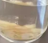 厚切西洋参片，滋补效果显著