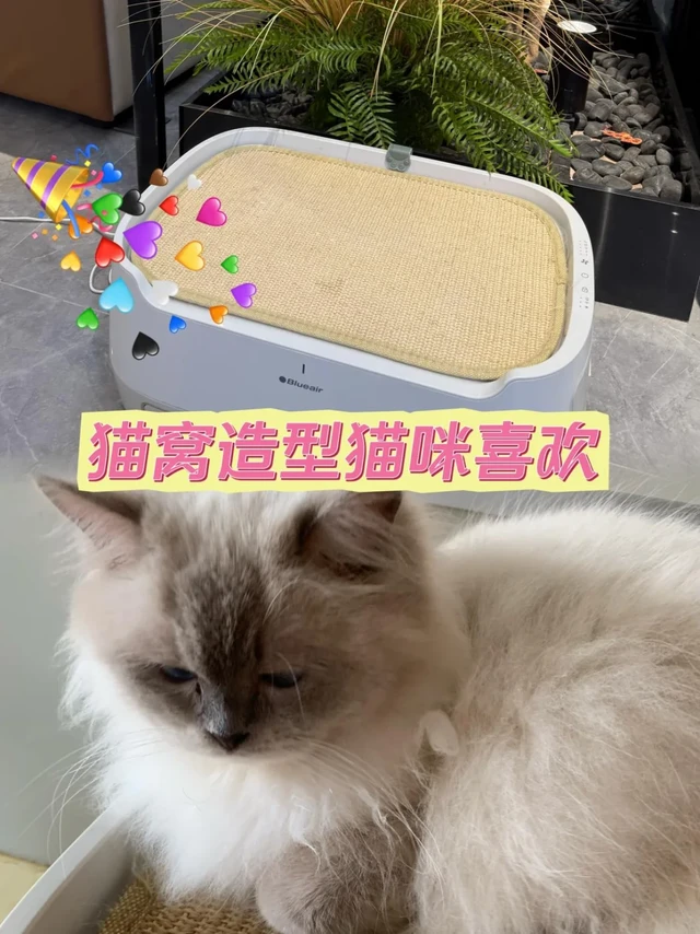 养宠人狂喜！拥有了能当猫窝的净化器