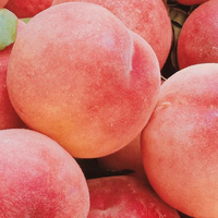 中国，最好吃的十种桃子，不接受反驳！