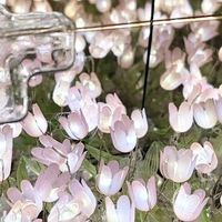 亚克力发光花盒DIY指南