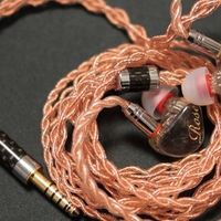 一句歌词，甘愿花几十万元，回忆那些年音乐爱好之梦！