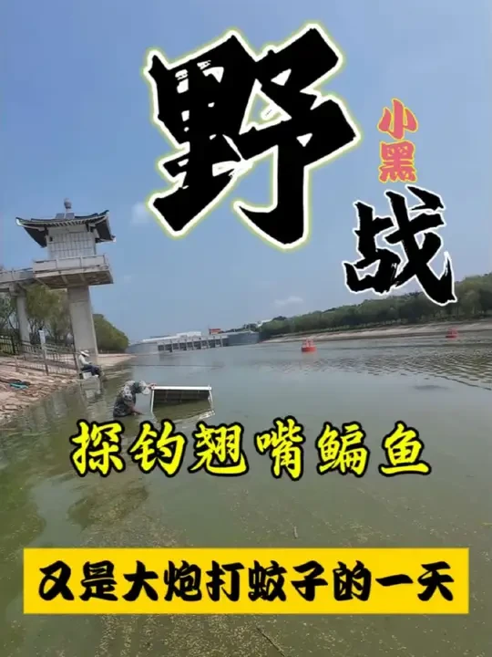 大炮打蚊子的一天#钓鱼的乐趣只有钓鱼人懂 #钓鱼 #汉鼎一号六代 #汉鼎真材实料放心入 #钓鱼王地狱猫 @汉鼎官方旗舰店 @汉鼎品牌创始人:汉鼎黑哥