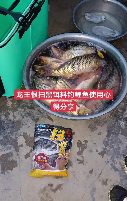 龙王恨扫黑饵料钓鲤鱼使用心得分享，希望对您有帮助，鱼获多多#钓鲤鱼 #饵料使用技巧 #钓鱼人