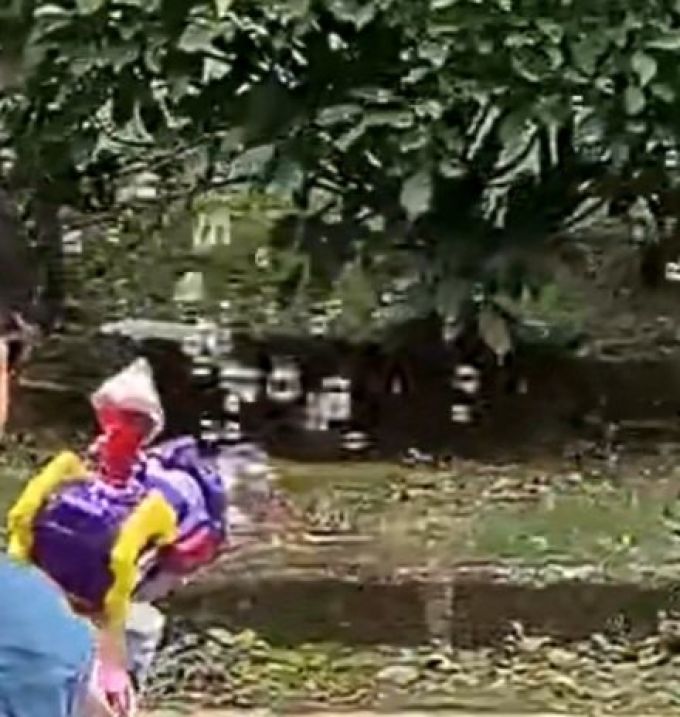 蜜乐糖健身玩具
