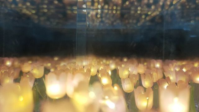DIY郁金香银河灯盒制作指南