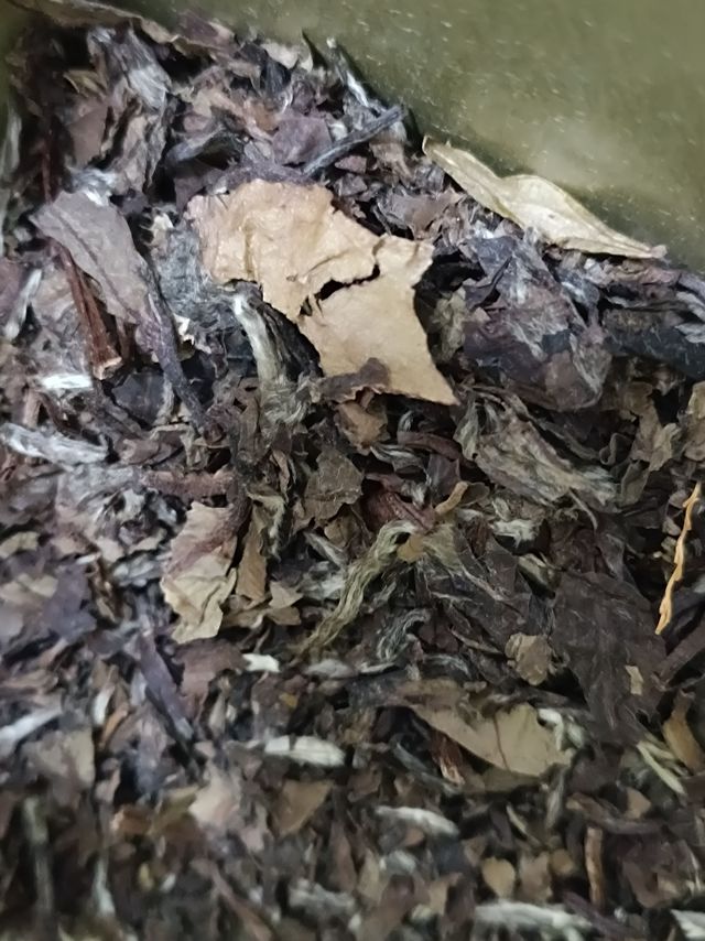 春夏秋冬泡着都很喝的养生茶白茶