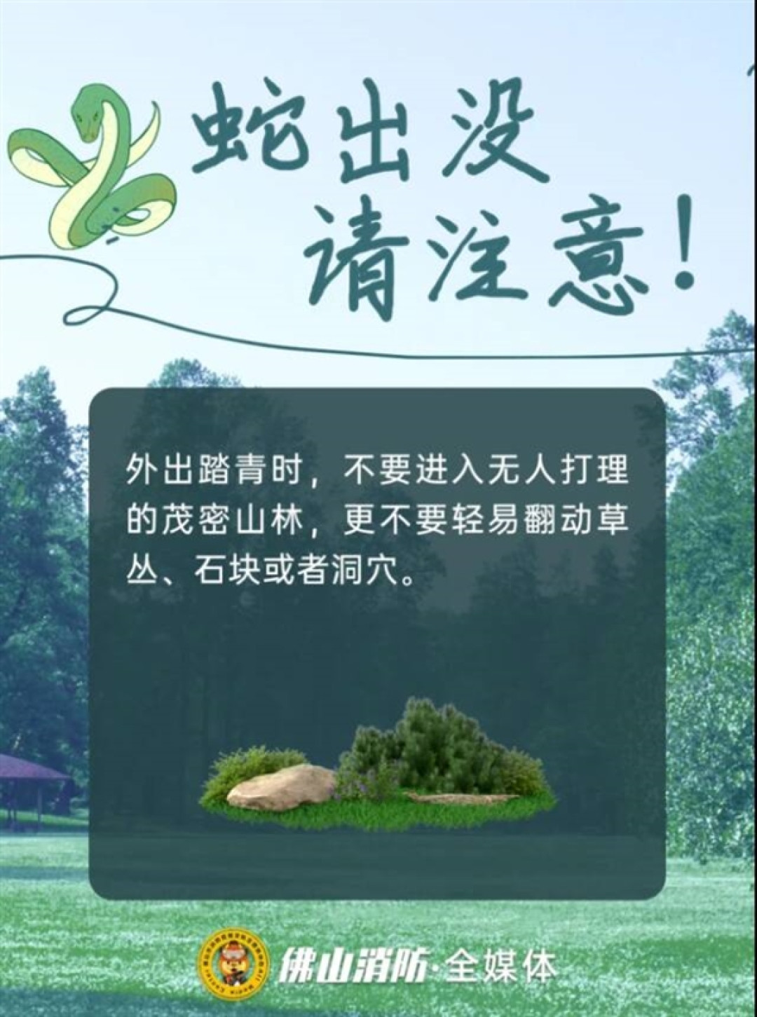 佛山一公园树上惊现2米长巨蟒:被消防员捕获后重归山林