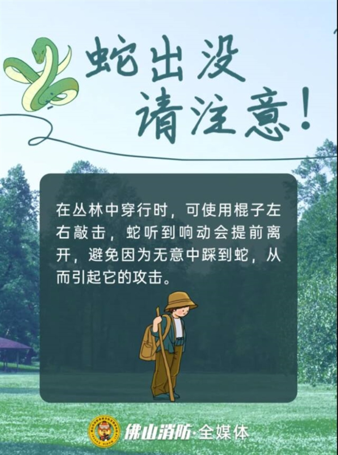 佛山一公园树上惊现2米长巨蟒:被消防员捕获后重归山林
