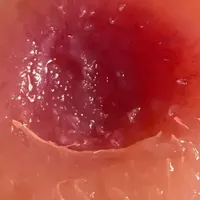 要不是有人告密，我这辈子都不知道这些特产这么好吃！