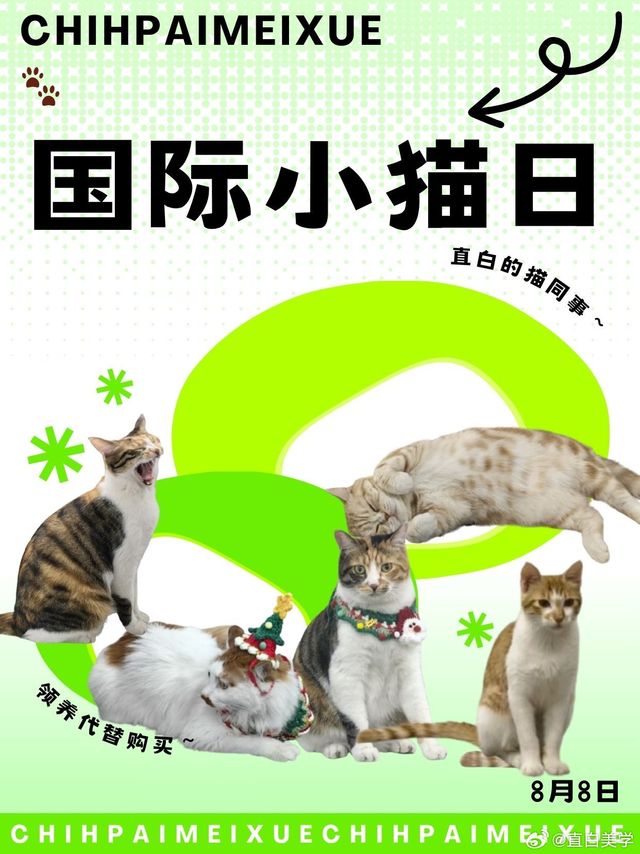 🐱：人，听说今天是国际小猫日？工作暂停！今天换小猫登场🎤~咱直白也有4只猫猫同事！今儿介绍介绍！🎁：瓶里揪3个朋友，送川岛屋一人食小猫餐具一套~有没有23年到现在的老股东啊？参与过当年小猫名字征集的朋