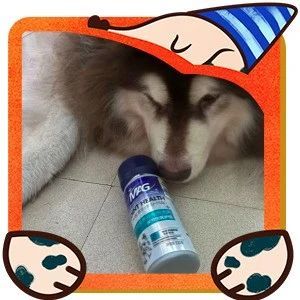 限时福利|警犬基地首选的MAG关节生！守护狗狗的关节健康