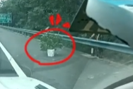 高速车辆故障 拔一堆草当警示牌 司机：三角牌压在下面 不好弄出来