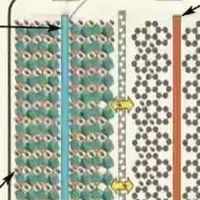 终于知道：电动车哪种电池使用寿命最长？使用安全成本低？看分析