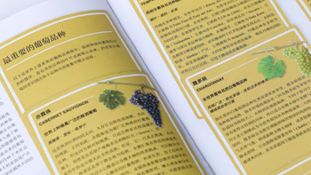 📖品酒小白必读！《世界葡萄酒地图》第 8 版超详细解读🍷