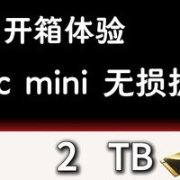 苹果2tb加价6000元？丐版Mac mini m4无损扩容