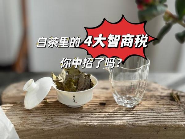 白茶圈的4大智商税，很多人在第一个就中招了，还以为捡到宝