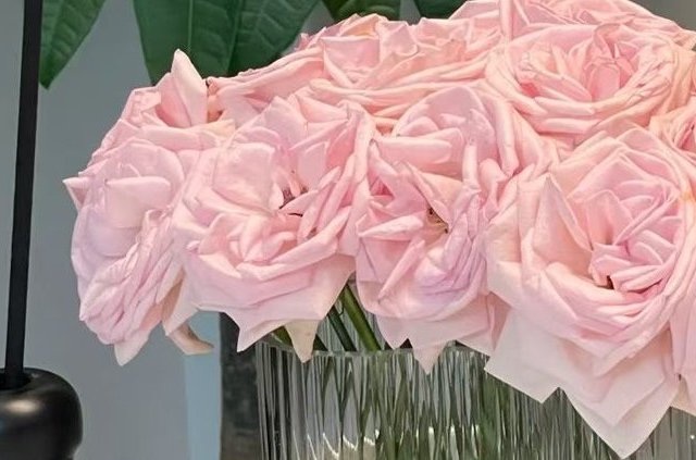 生死课从来不在课堂:死亡从不等我们准备好